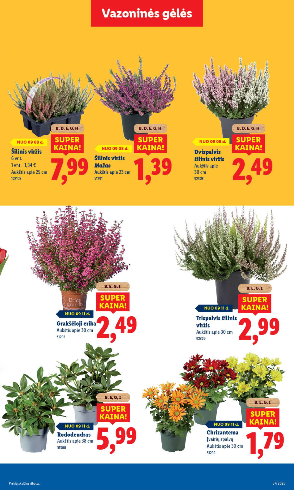 MAISTO PREKIŲ PASIŪLYMAI: Nuo rugsėjo 8 d. page page-41.jpg