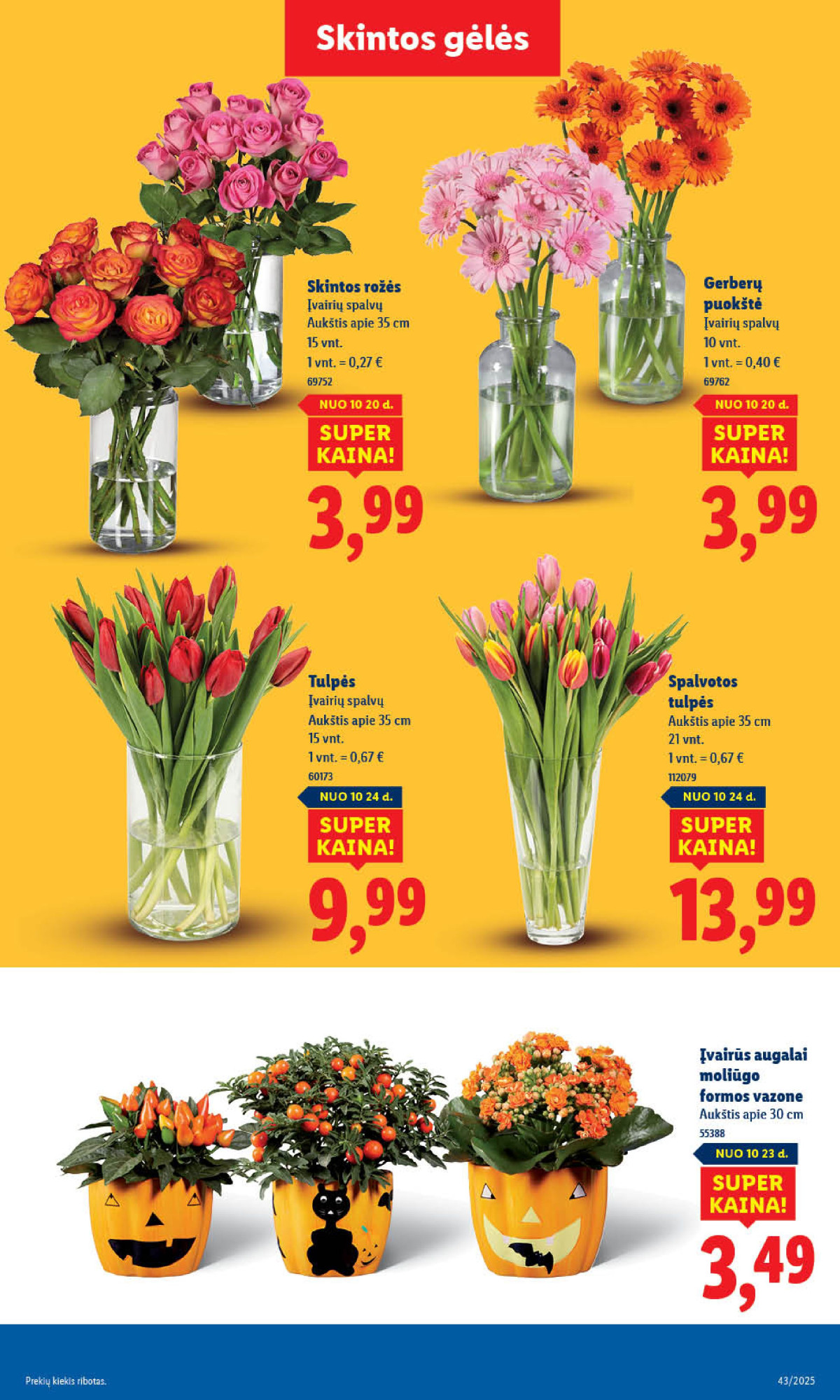 PASIŪLYMAI NUO KETVIRTADIENIO: Nuo spalio 23 d. page page-61.jpg