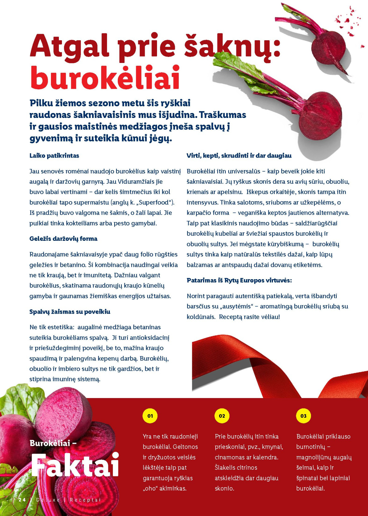 Kalėdų stalui: Kalėdos su LIDL page page-24.jpg 