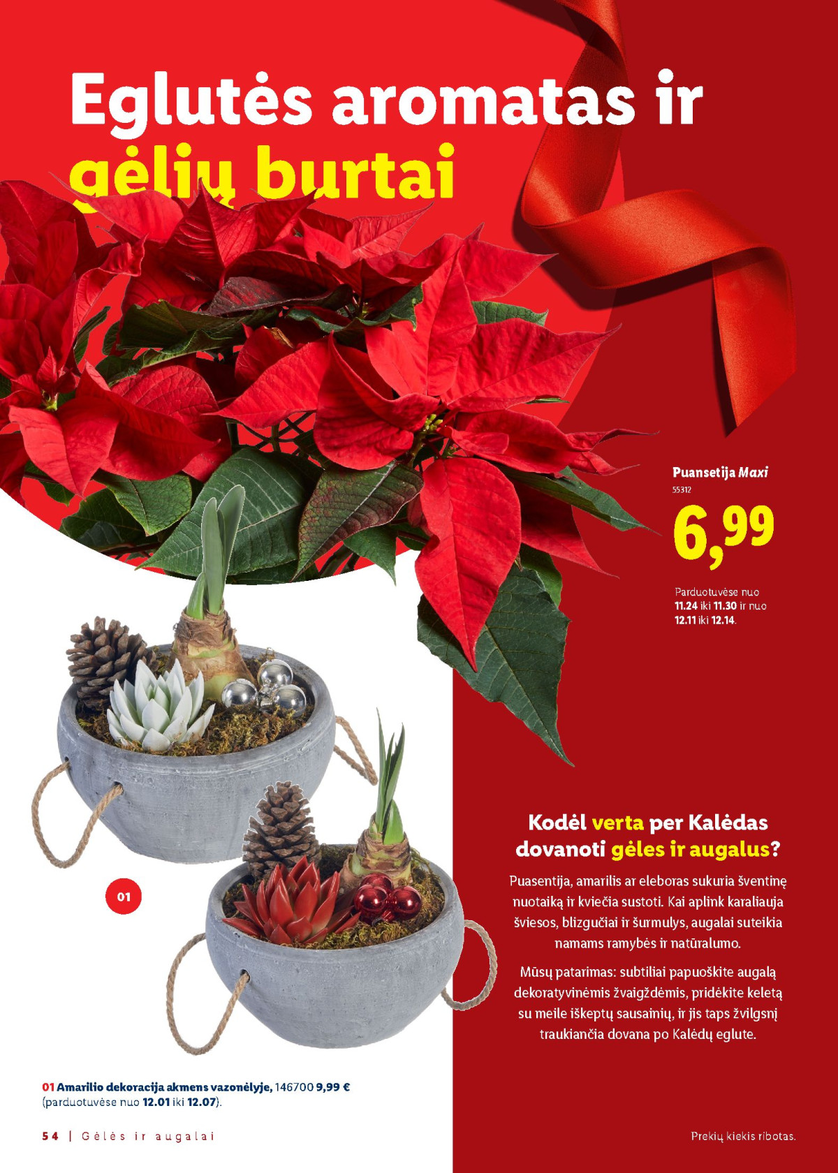 Kalėdų stalui: Kalėdos su LIDL page page-54.jpg 