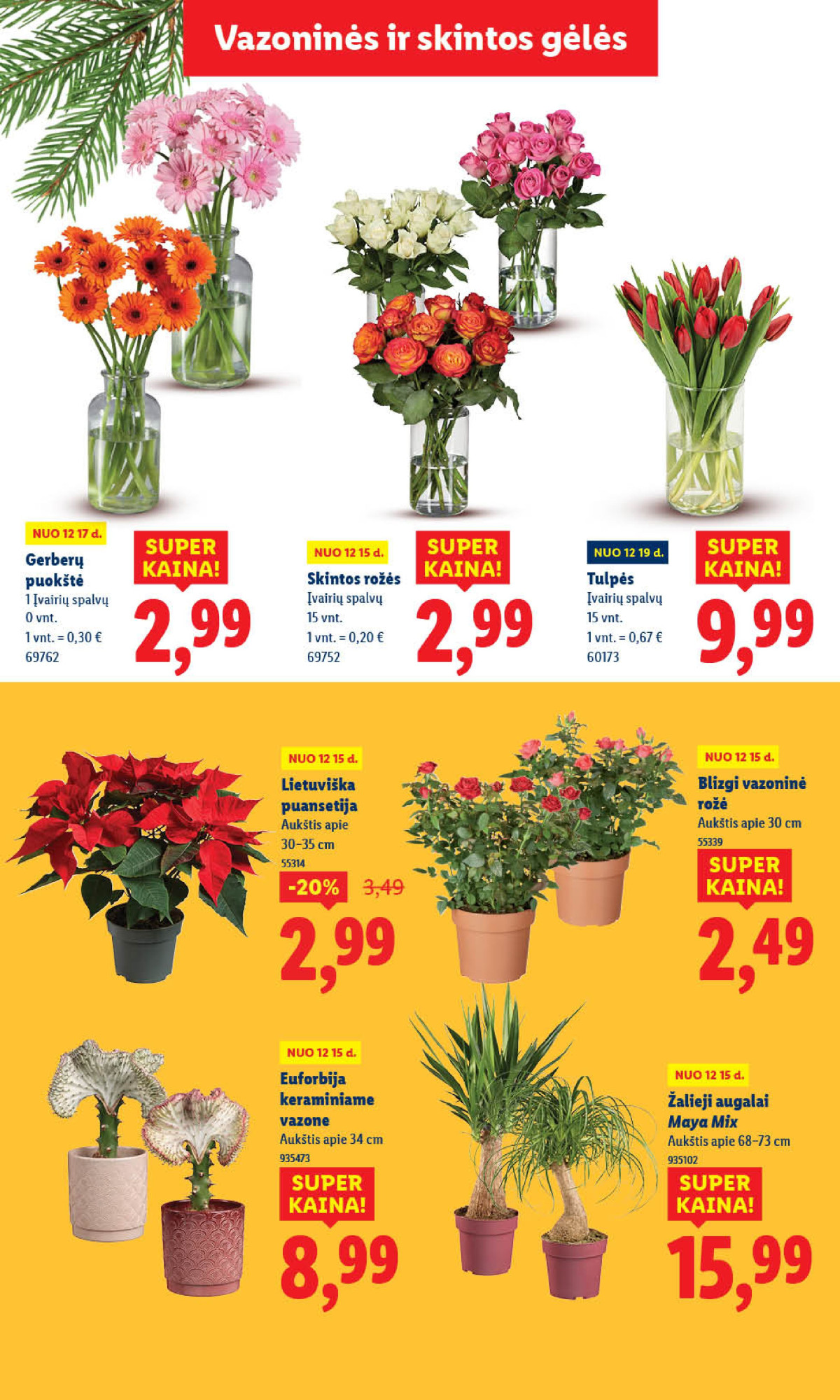 MAISTO PREKIŲ PASIŪLYMAI: Nuo gruodžio 15 d. page page-9.jpg 